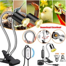 Tartarughe lampada termica