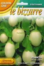 40 Semi/Seeds PIANTA DELLE UOVA