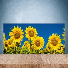 Paraschizzi Retrofornelli