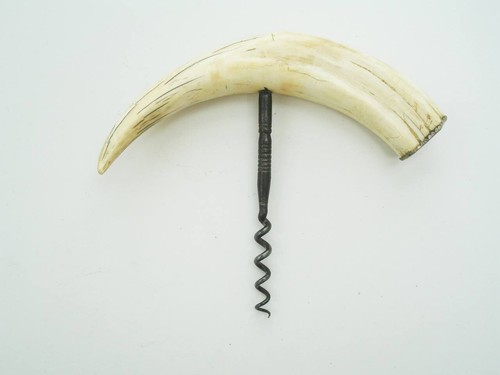 Antique boars tooth corkscrew - antique,