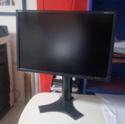 Nec multisync p221w - nec, multisync®