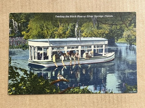 Cartolina silver springs - cartolina,
