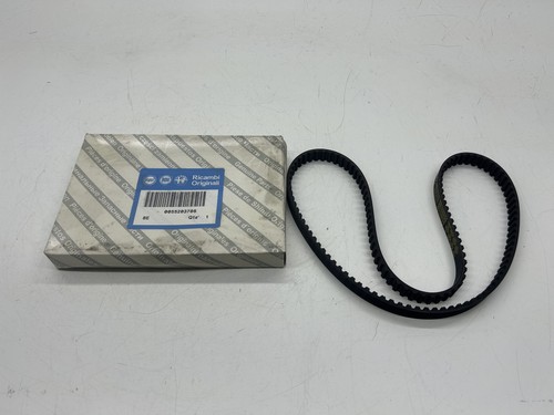 55203786 cinghia - oe,