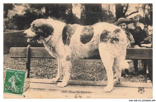 Car acrp3 0139 cane - car-acrp3-0139-64, dei
