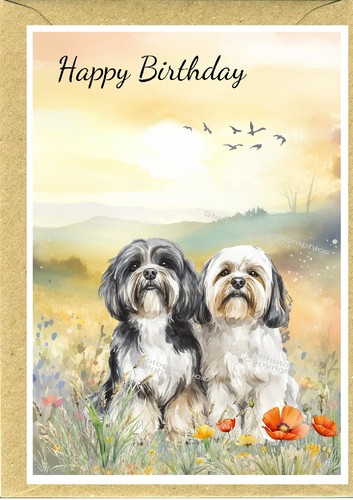 Biglietto compleanno lhasa - biglietto,