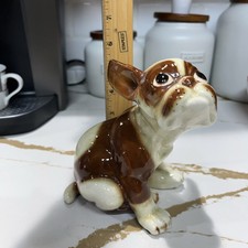 Cane Toro Francese Vintage