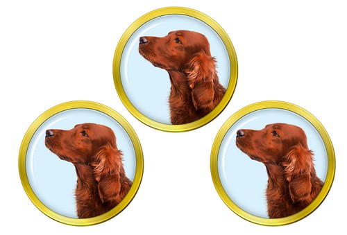 Irlandese rosso setter palla - irlandese,