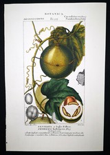 1831,TURPIN set -2- INCISIONE ORIGINALE FINE ACQUERELLO ANTICO FEVILLEA XZA