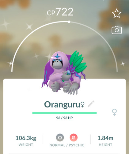 Shiny oranguru t c - ✨, p