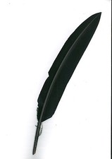 Penna per Cappello Alpino Nera