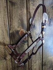 Dark oil yearling show - dark,