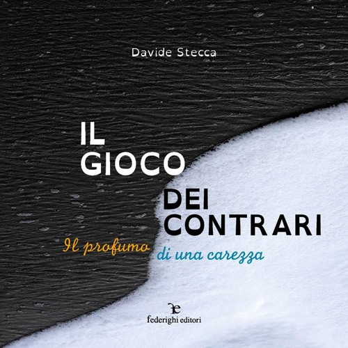 Libri stecca davide il - libri,