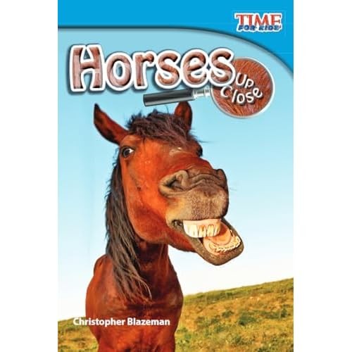 Horses close new - horses,