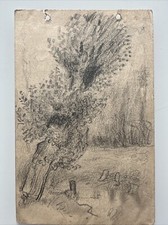 disegno dessin Carlo Siviero