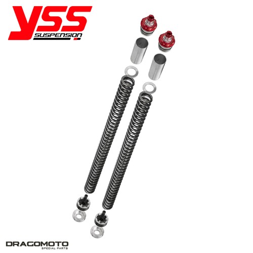 Kit forcella kawasaki - kit,