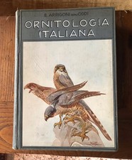 ARRIGONI DEGLI ODDI -