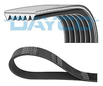 Cinghia poly dayco 6pk1205 - cinghia, poly-v