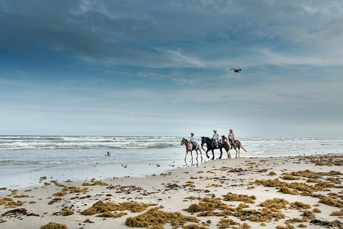 Padre island texas brennan - padre,