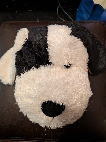 Head case dog dvd - head,