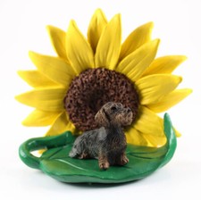 Figurina Di Bassotto A Pelo