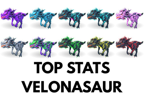 Velonasaur top stats clone - velonasaur,
