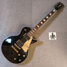 Chitarra elettrica Burny by