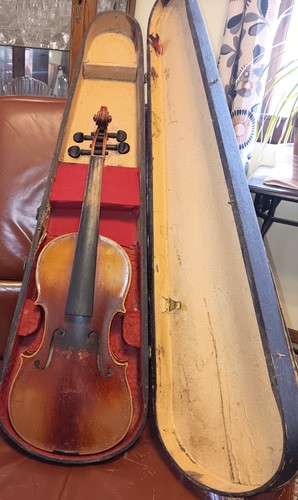 Corpo violino antico 14 - 23", 14"