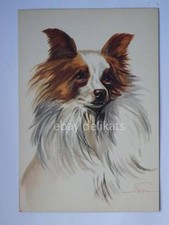 CANE dog farfalla Spaniel Papillon Norfini old postcard vecchia cartolina *