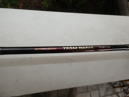 Team daiwa wormin - daiwa, power