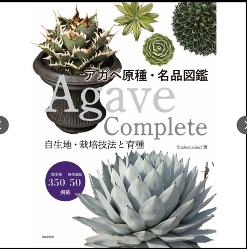 Agave complete shabomaniac - agave,