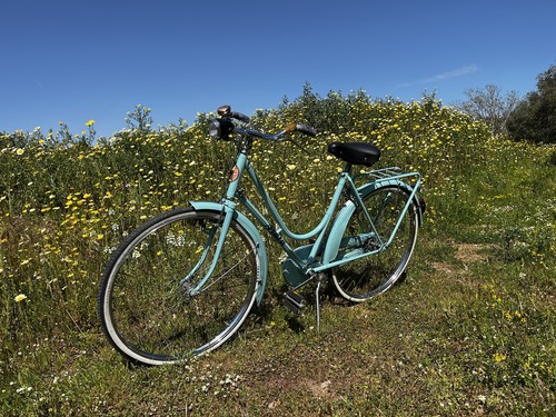 Bicicletta donna con freni - donna, 26