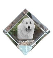 Mastino dei Pirenei dado di cristallo con cane Art-Dog