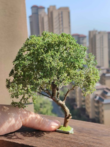 Miniatura realistica vari