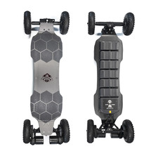 RALDEY WASP PRO ELECTRIC