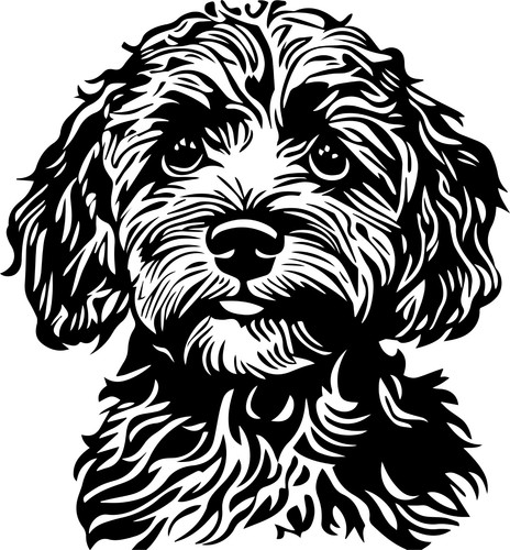 Adesivi cavapoo auto - adesivi,