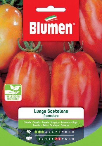 Blumen semi pomodoro - blumen.,