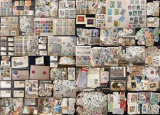 World BIRDS Copertine Carte