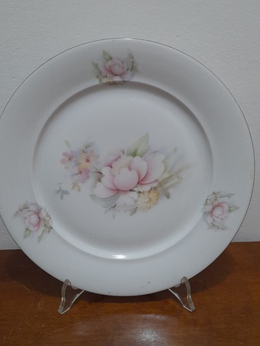 Limoges vintage porcellana - limoges,