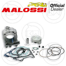 GRUPPO TERMICO MALOSSI 3113955