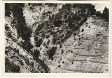 CAULONIA - REGGIO CALABRIA -