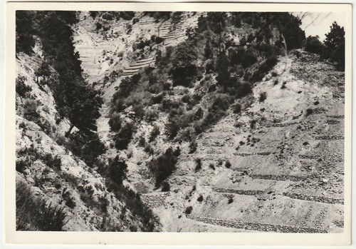 Caulonia reggio calabria - -,