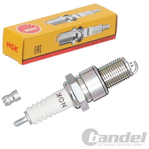 Candela ngk adatta per alfa - per,