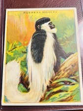 Carte animali sigaretta