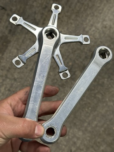 Guarnitura pista campagnolo - guarnitura,