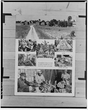 Foto:Fotografie di pannelli