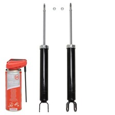 2x Ammortizzatori + Olio