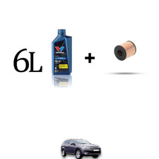 Kit filtro olio e 6L per