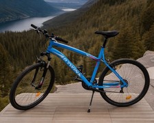 bicicletta uomo mountain bike
