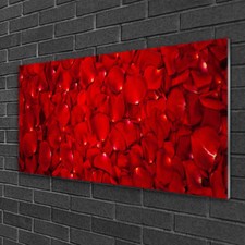 Acrylic print Wall art 100x50