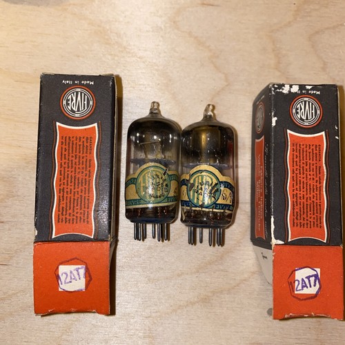 Fivre ecc81 nos nib - fivre,